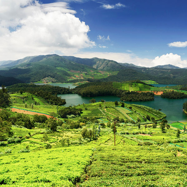 Ooty