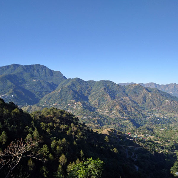 Shimla