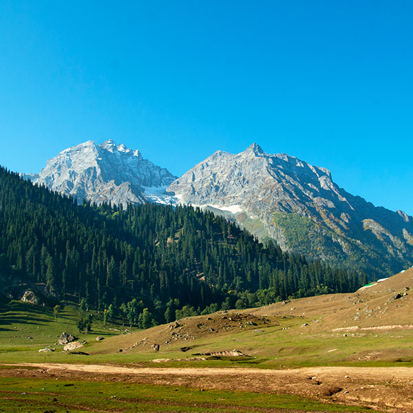 Kashmir