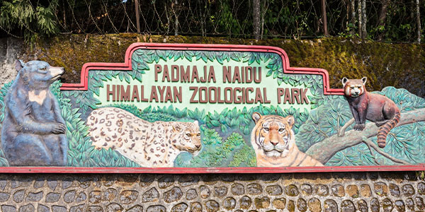 Padmaja Naidu Himalayan Zoological Park